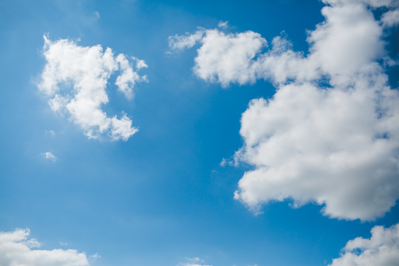 NWA Wedding Photographer