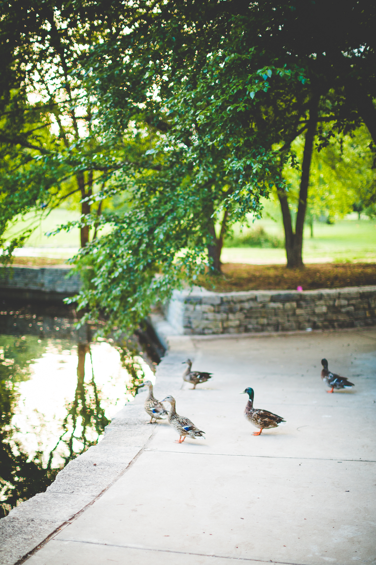Kansas City MO Wedding Photographer, lissachandler.com
