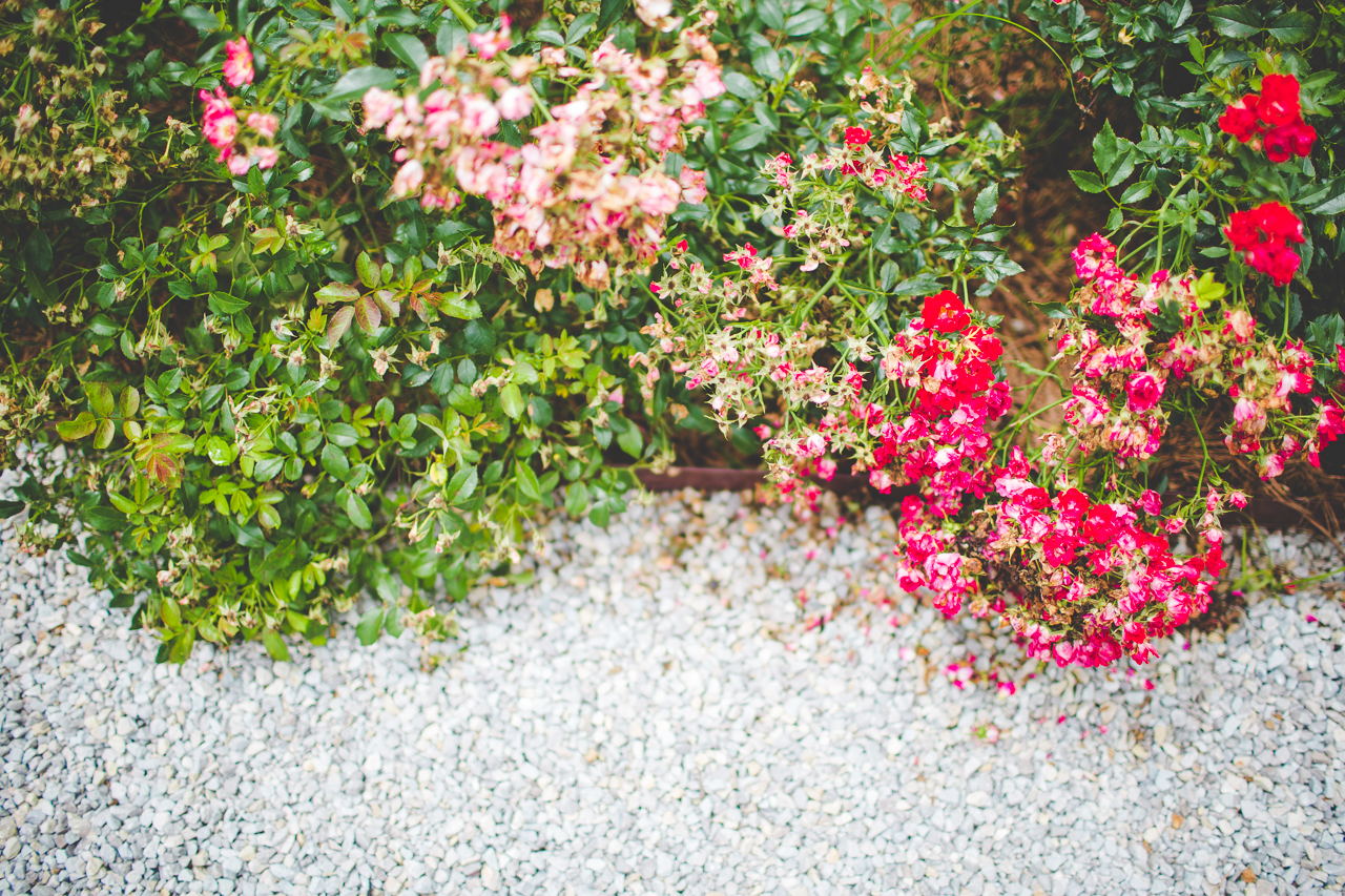Wedding at Stan Jones Mallard Lodge - Arkansas Wedding Photographer - Julie and Zack - lissachandler.com -26 Fayetteville AR Wedding Photographer, Wedding at Stan Jones Mallard Lodge