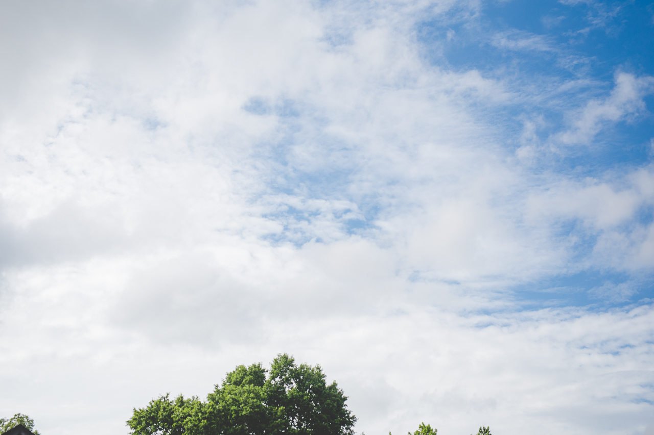 Wedding at Stan Jones Mallard Lodge - Arkansas Wedding Photographer - Julie and Zack - lissachandler.com -39 NWA Wedding Photographer, lissachandler.com