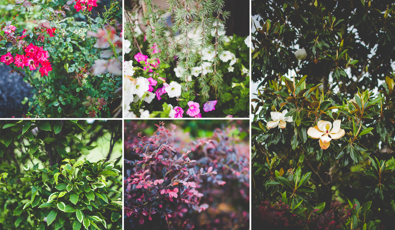 Wedding at Stan Jones Mallard Lodge - Arkansas Wedding Photographer - Julie and Zack - lissachandler.com -49-3 NWA Wedding Photographer, lissachandler.com