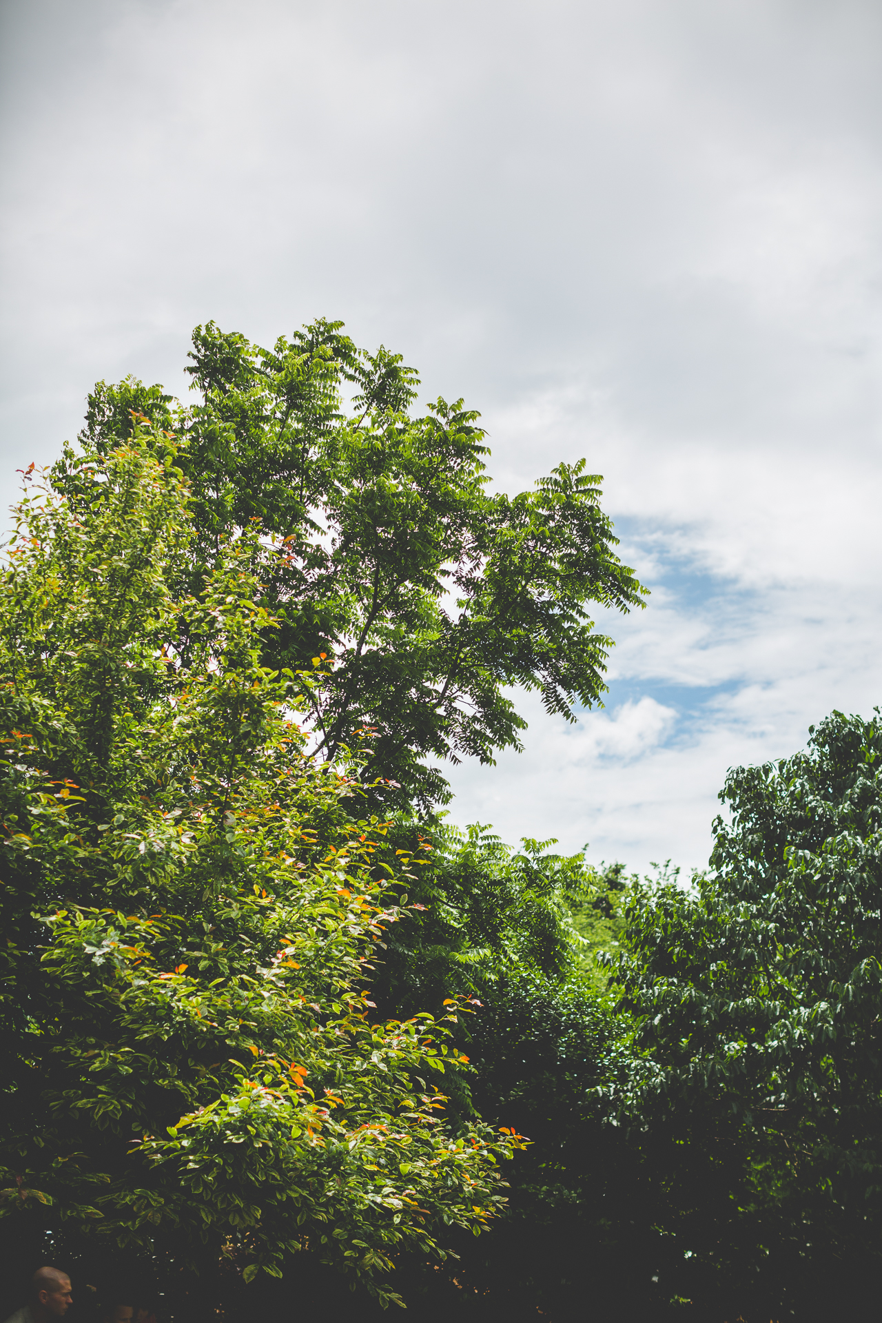 Wedding at Stan Jones Mallard Lodge - Arkansas Wedding Photographer - Julie and Zack - lissachandler.com -5 Fayetteville AR Wedding Photographer, Wedding at Stan Jones Mallard Lodge