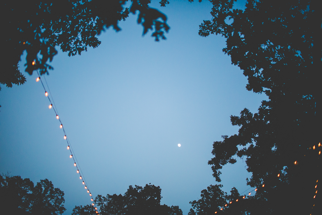 Lauren and JK - Wedding at the Barn at the Springs - NWA Wedding Photographer, lissachandler.com -20