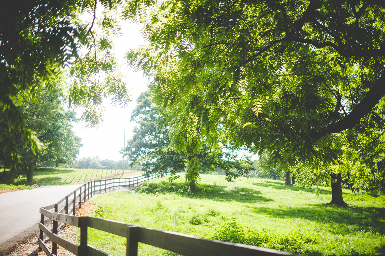Lauren and JK - Wedding at the Barn at the Springs - NWA Wedding Photographer, lissachandler.com -7 July Wedding in Fayetteville Arkansas