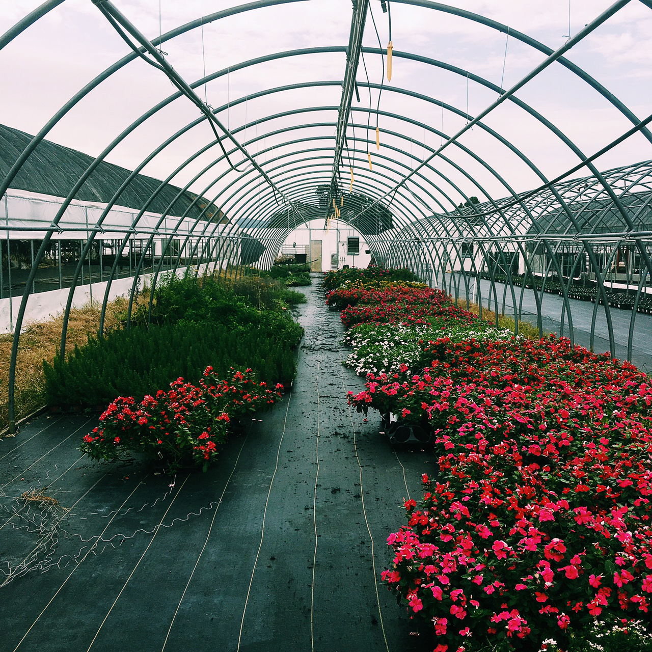 Processed with VSCO with c1 preset