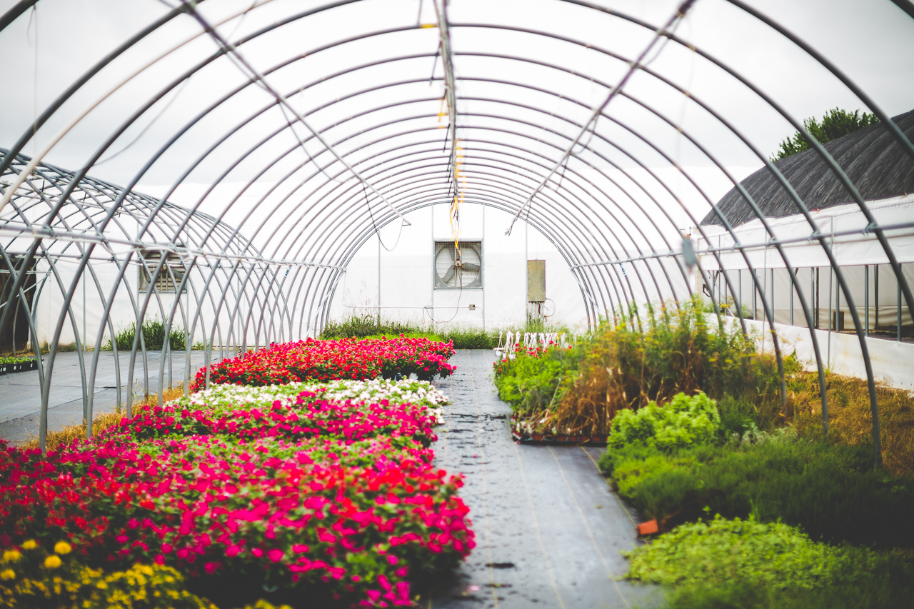 Creative Bridal Session, Bright and Bold Wedding Flowers, lissachandler.com