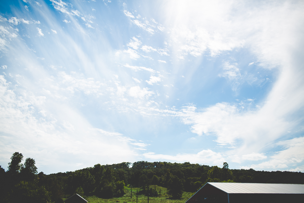Wedding at Sassafras Springs, Fall Wedding in Arkansas
