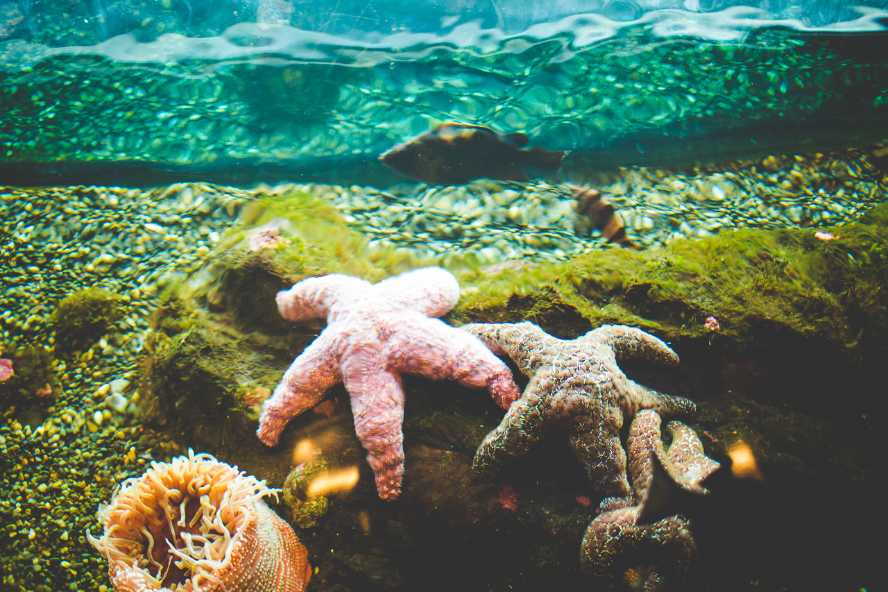 click-away-2016-lissa-chandler-51