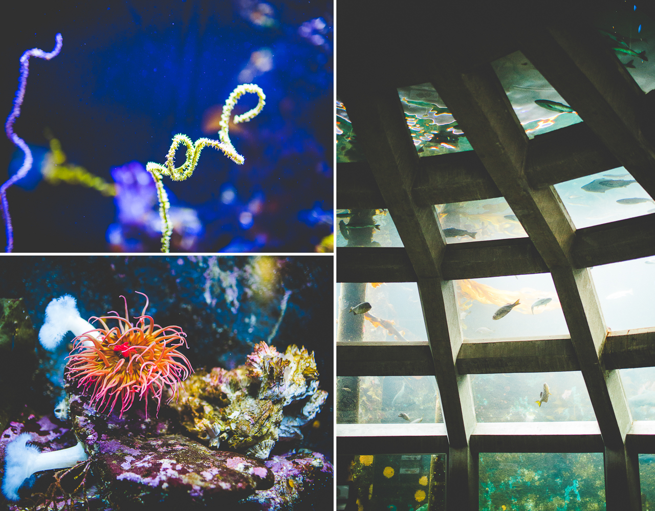 click-away-2016-lissa-chandler-87