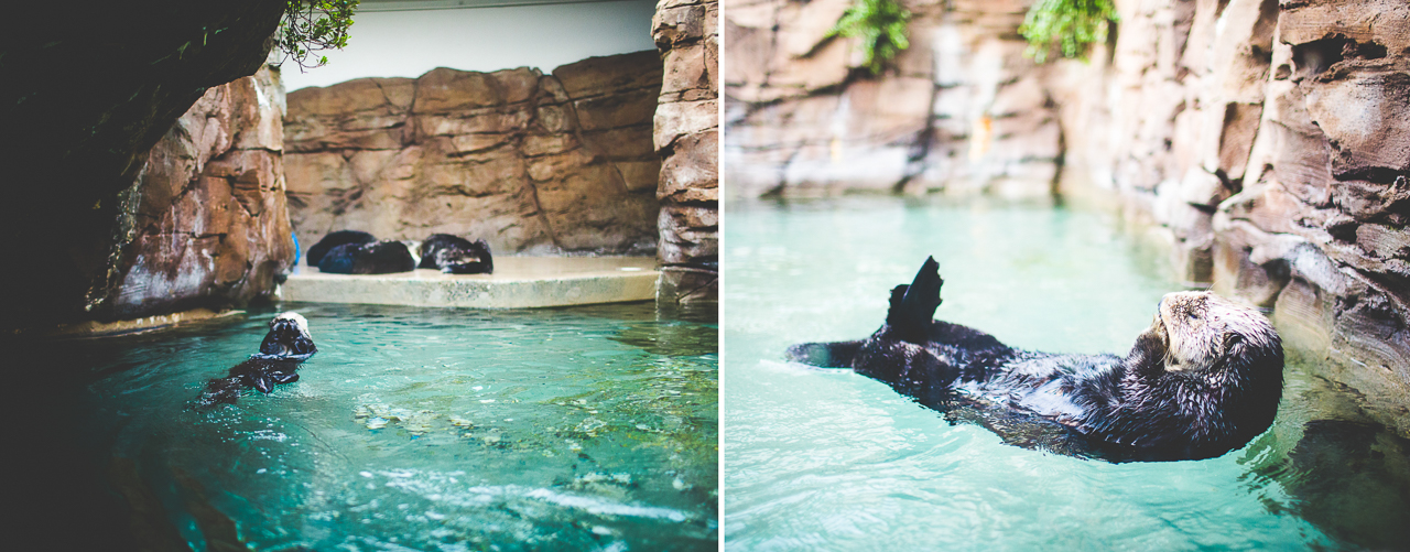 click-away-2016-lissa-chandler-88