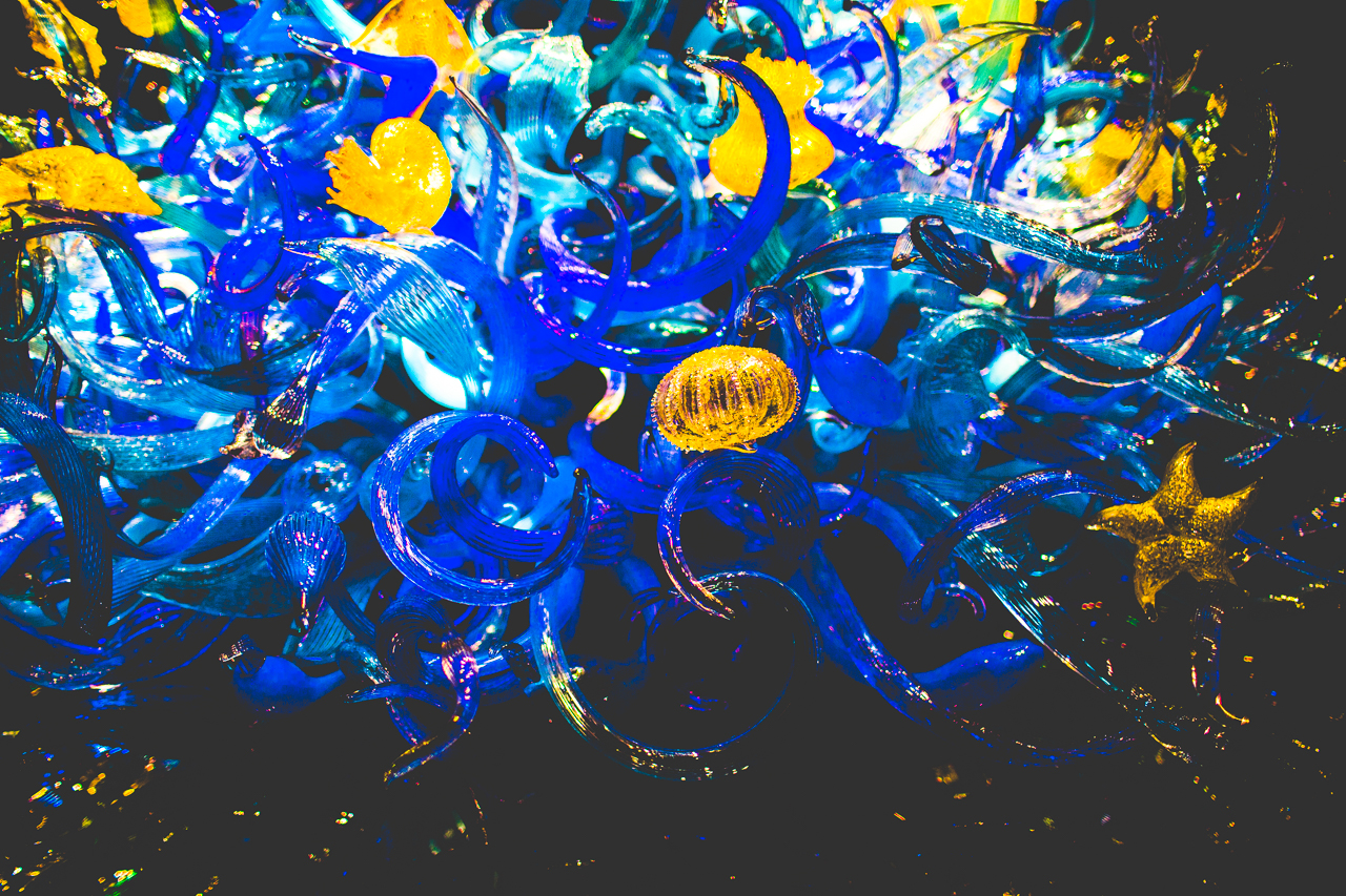 click-away-in-seattle-lissa-chandler-11