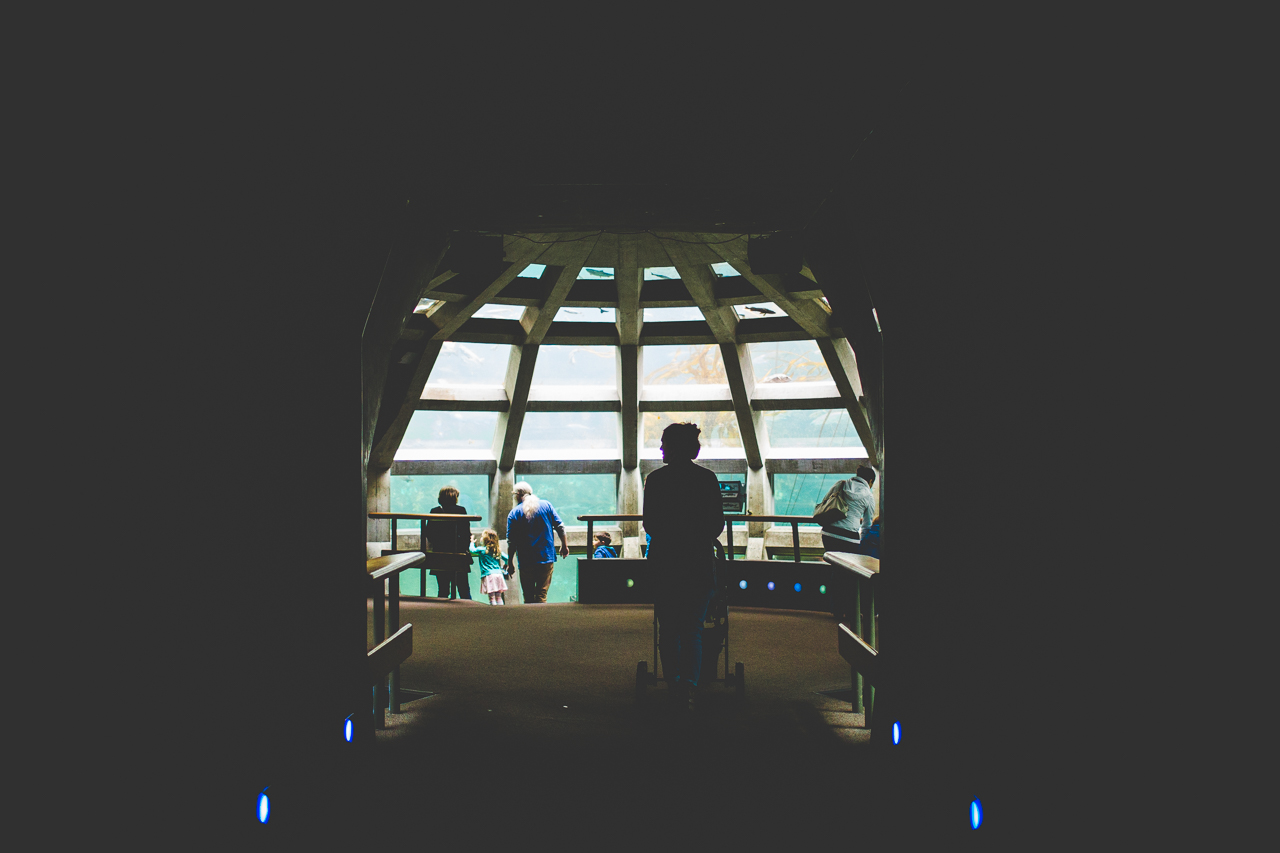 click-away-in-seattle-lissa-chandler-30