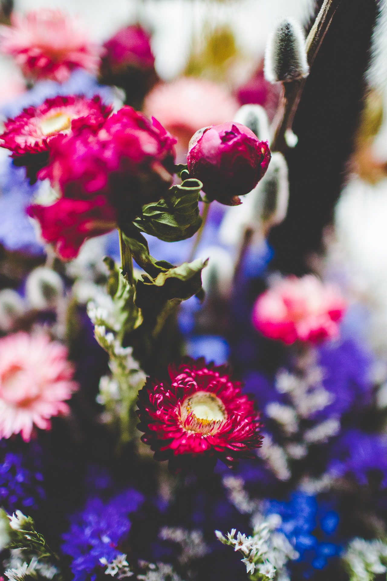 click-away-in-seattle-lissa-chandler-44