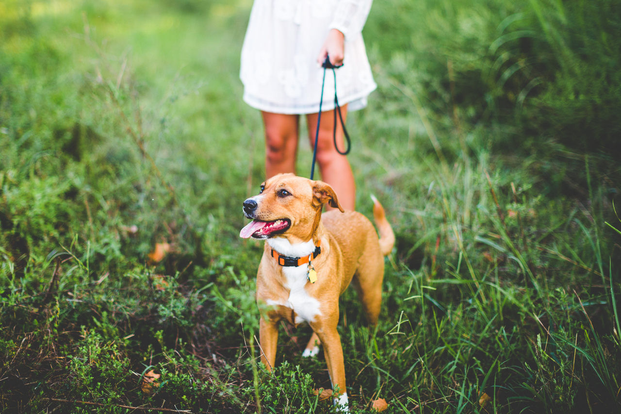 Happy Engagement Photographs in the Fall, lissachandler.com