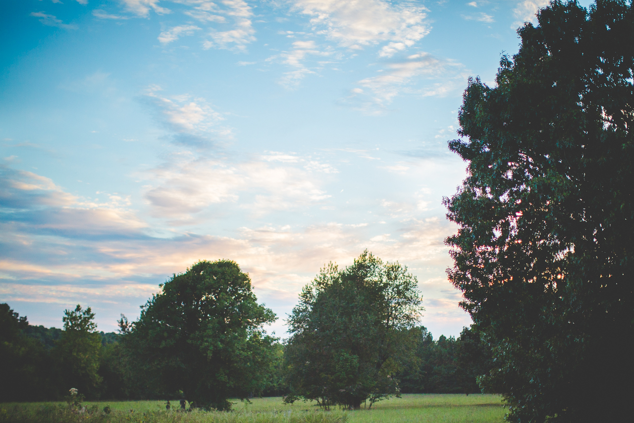Happy Engagement Photographs in the Fall, lissachandler.com