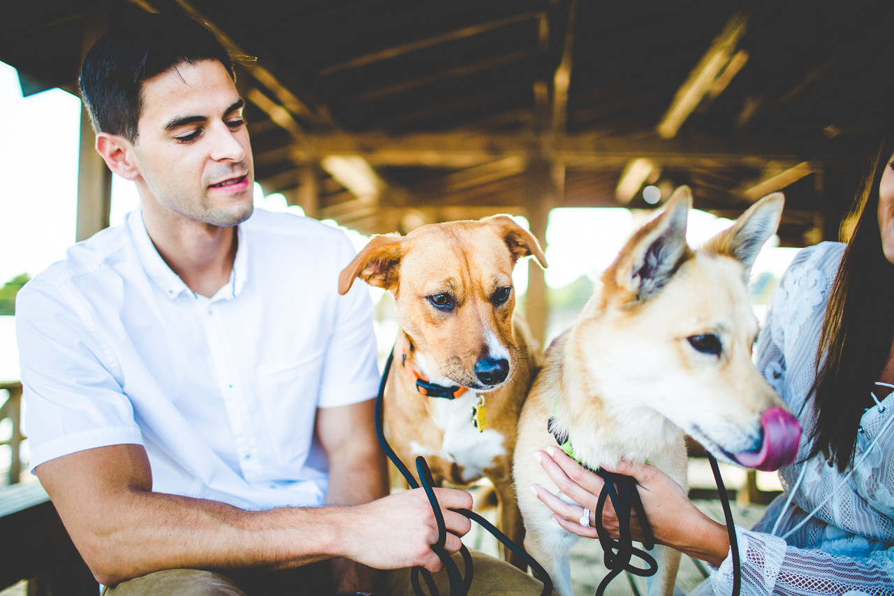 Happy Engagement Photographs in the Fall, lissachandler.com