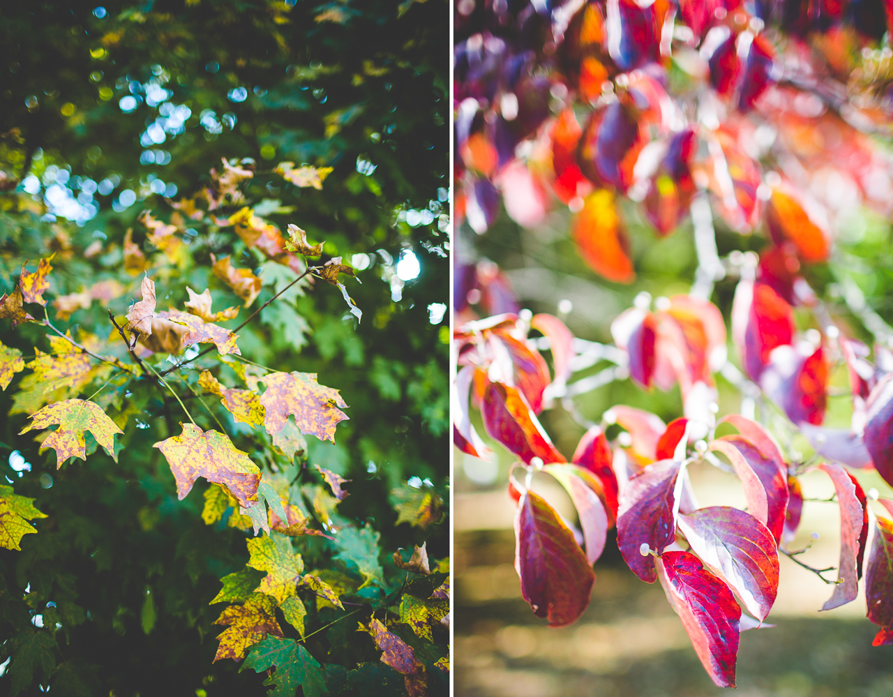 charlie-and-james-pratt-place-inn-wedding-three-things-i-loved-8