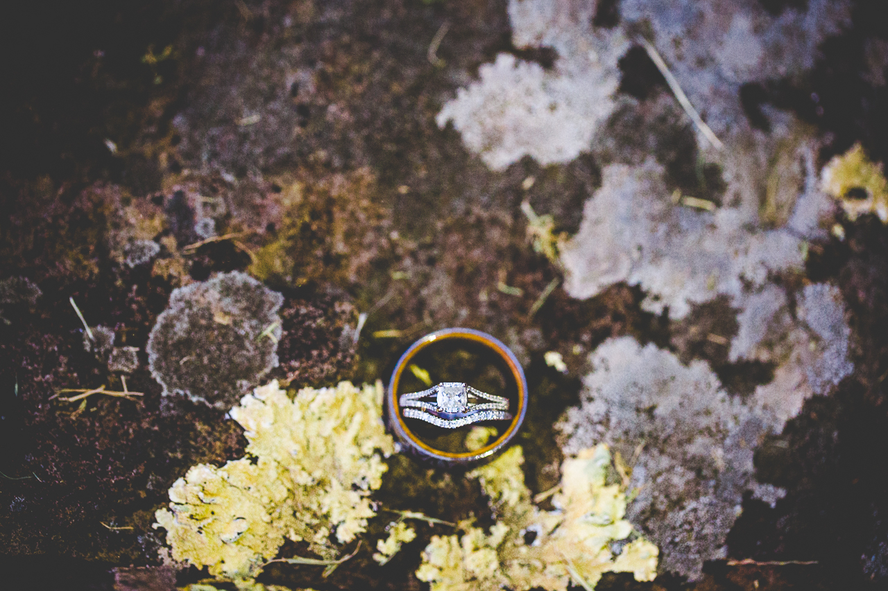 kylie-and-brett-wedding-at-sassafras-springs-lissachandler-com-nwa-wedding-photographer-30 Fayetteville Wedding Photographer Lissa Chandler, Creative Wedding Photography in the South