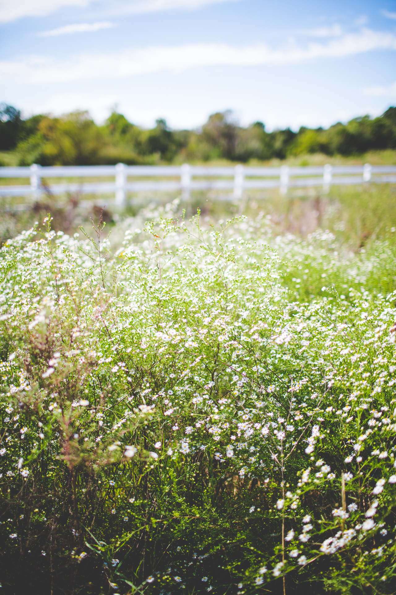 kylie-and-brett-wedding-at-sassafras-springs-lissachandler-com-nwa-wedding-photographer-51 Creative Wedding Photography in Arkansas, NWA Wedding Photographer, lissachandler.com