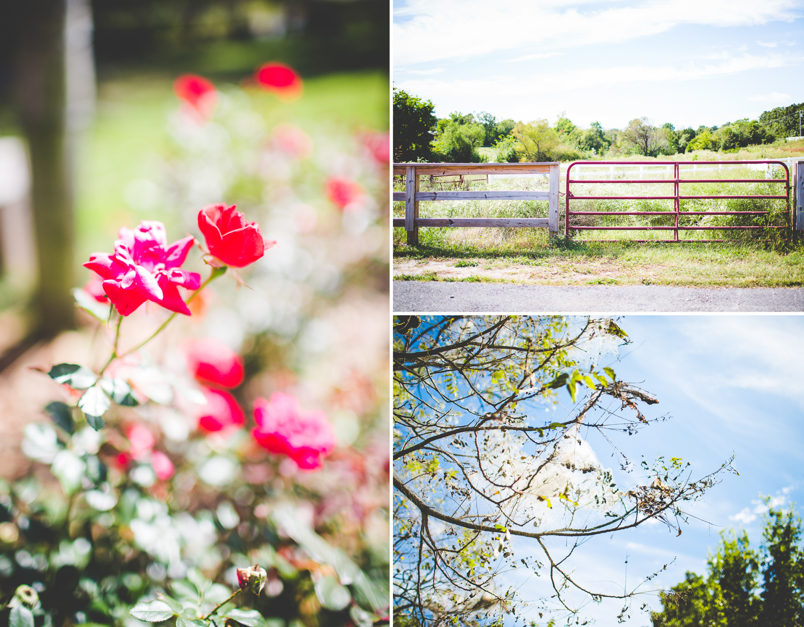 kylie-and-brett-wedding-at-sassafras-springs-lissachandler-com-nwa-wedding-photographer-78 Creative Wedding Photography in Arkansas, NWA Wedding Photographer, lissachandler.com