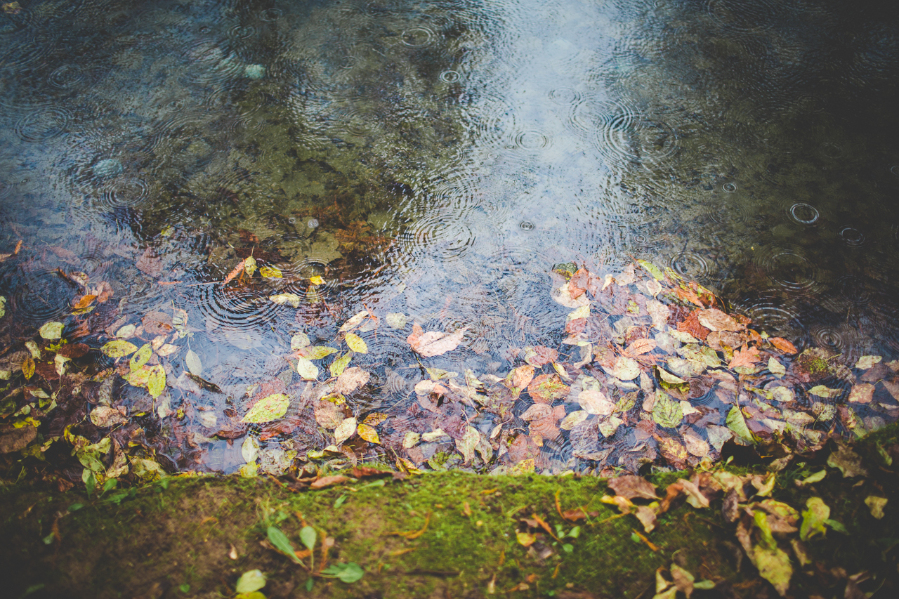 kaitlyn-and-kale-sneak-peek-arkansas-winter-wedding-at-st-catherines-fayetteville-wedding-photographer-lissa-chandler-2 Winter Wedding at St. Catherine's in Fayetteville, Arkansas // Lissa Chandler Photography