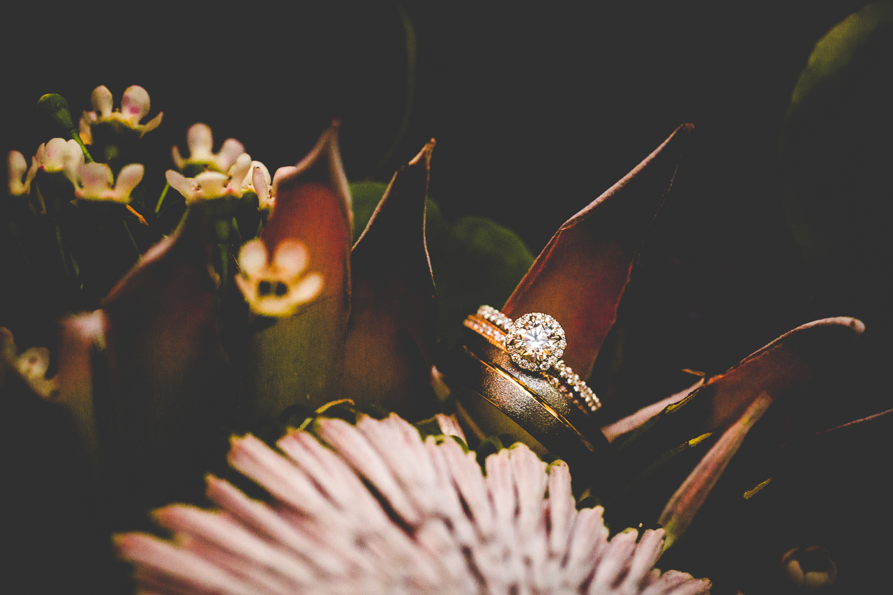 Winter Wedding at Sassafras Springs - Hayden and Cameron - NWA Wedding Photographer Lissa Chandler-3 Winter Wedding at Sassafras Springs, lissachandler.com