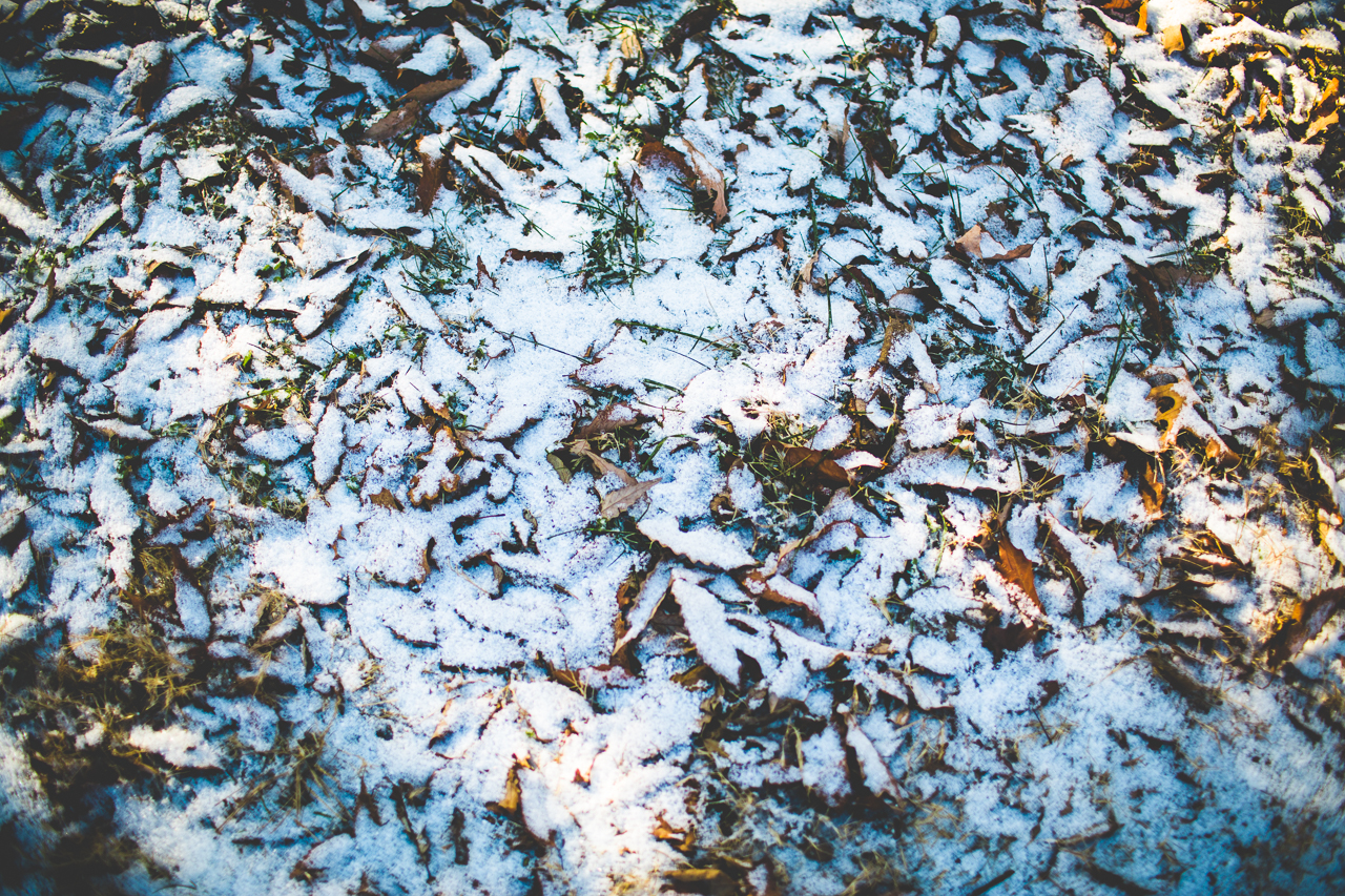 Jennifer and Taylor Sneak Peek - Sassafras Springs December Wedding, lissachandler.com-1 Snowy Wedding at Sassafras Springs in Springdale, lissachandler.com