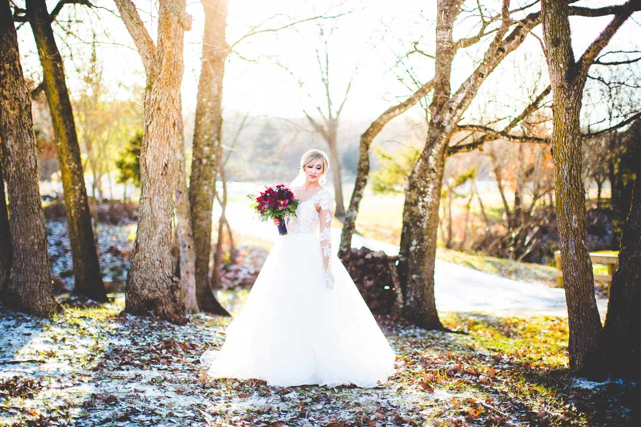 Jennifer and Taylor Sneak Peek - Sassafras Springs December Wedding, lissachandler.com-7 Snowy Wedding at Sassafras Springs in Springdale, lissachandler.com