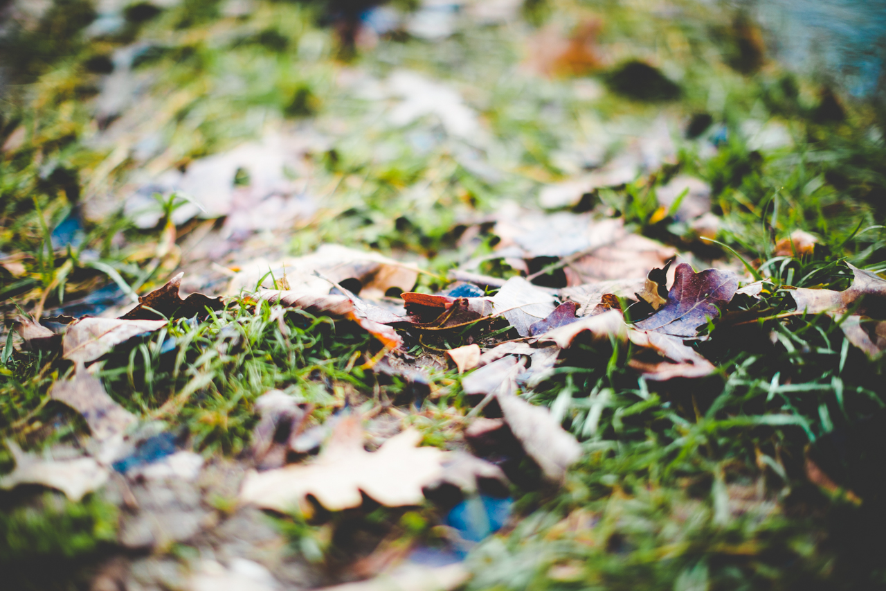 Winter Portrait Session in Fayetteville Arkansas - lissachandler.com -5