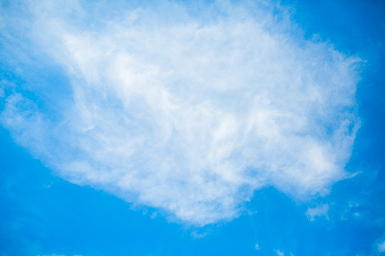 Senior Photorapher in Northwest Arkansas - Emily - Fayetteville Photographer Lissa Chandler-50