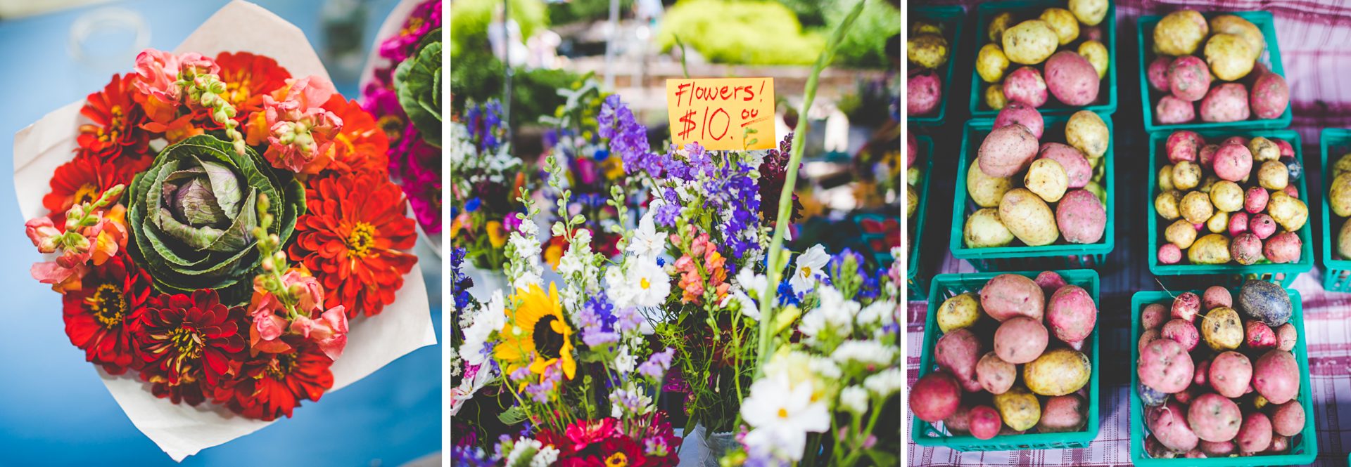 Family Blog in June, 2017 - lissachandler.com-32