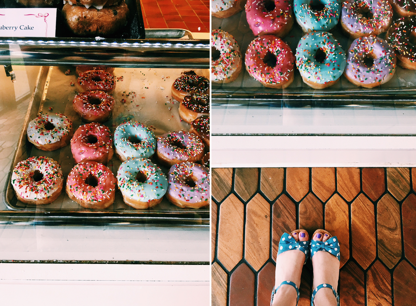 May 2017 Family Vacation at Gulf Shores - Lissa Chandler-40-2