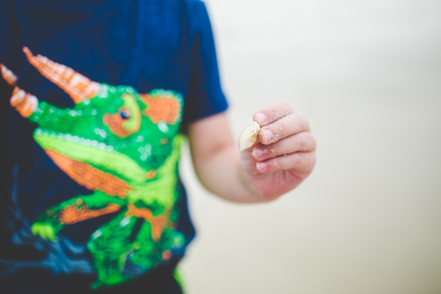 Life at the Beach - May 2017-15