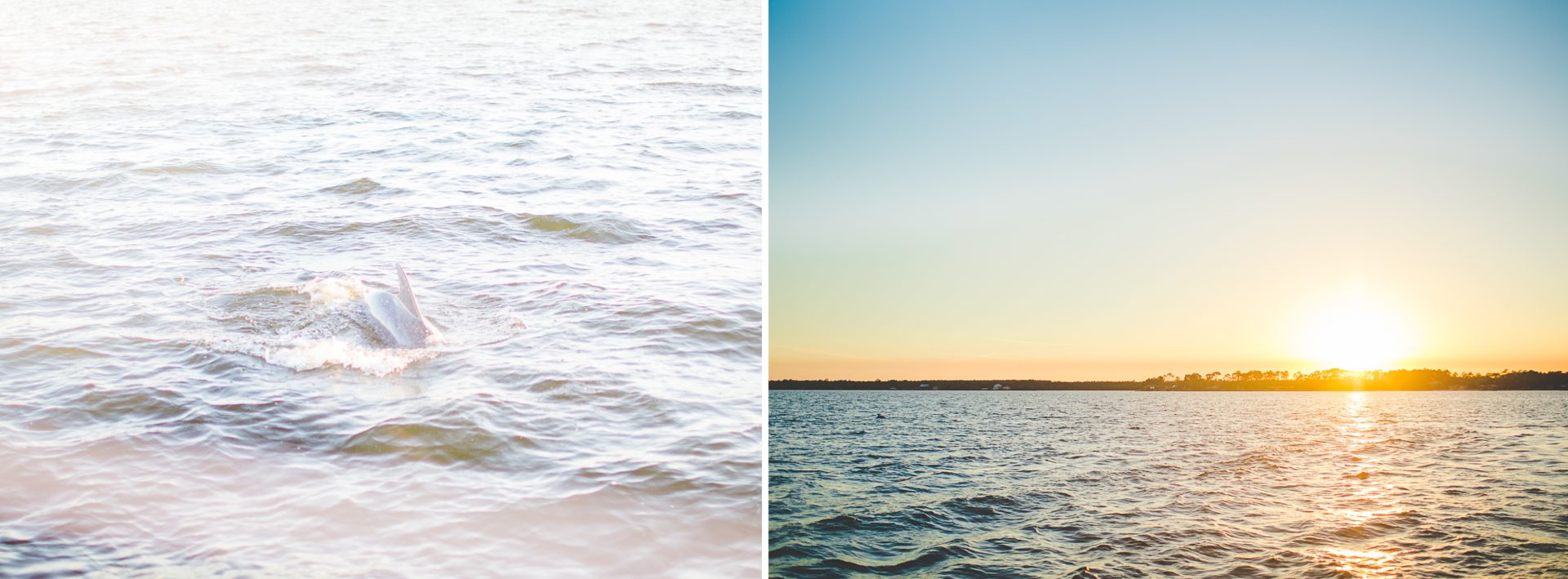 Life at the Beach - May 2017-47