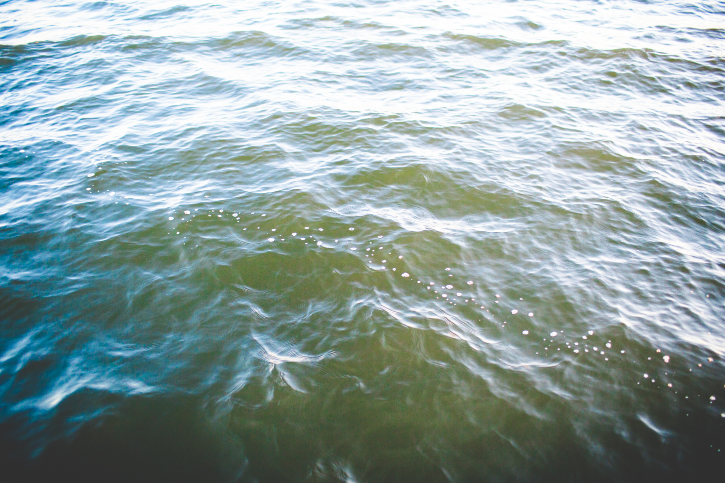 Life at the Beach - May 2017-8