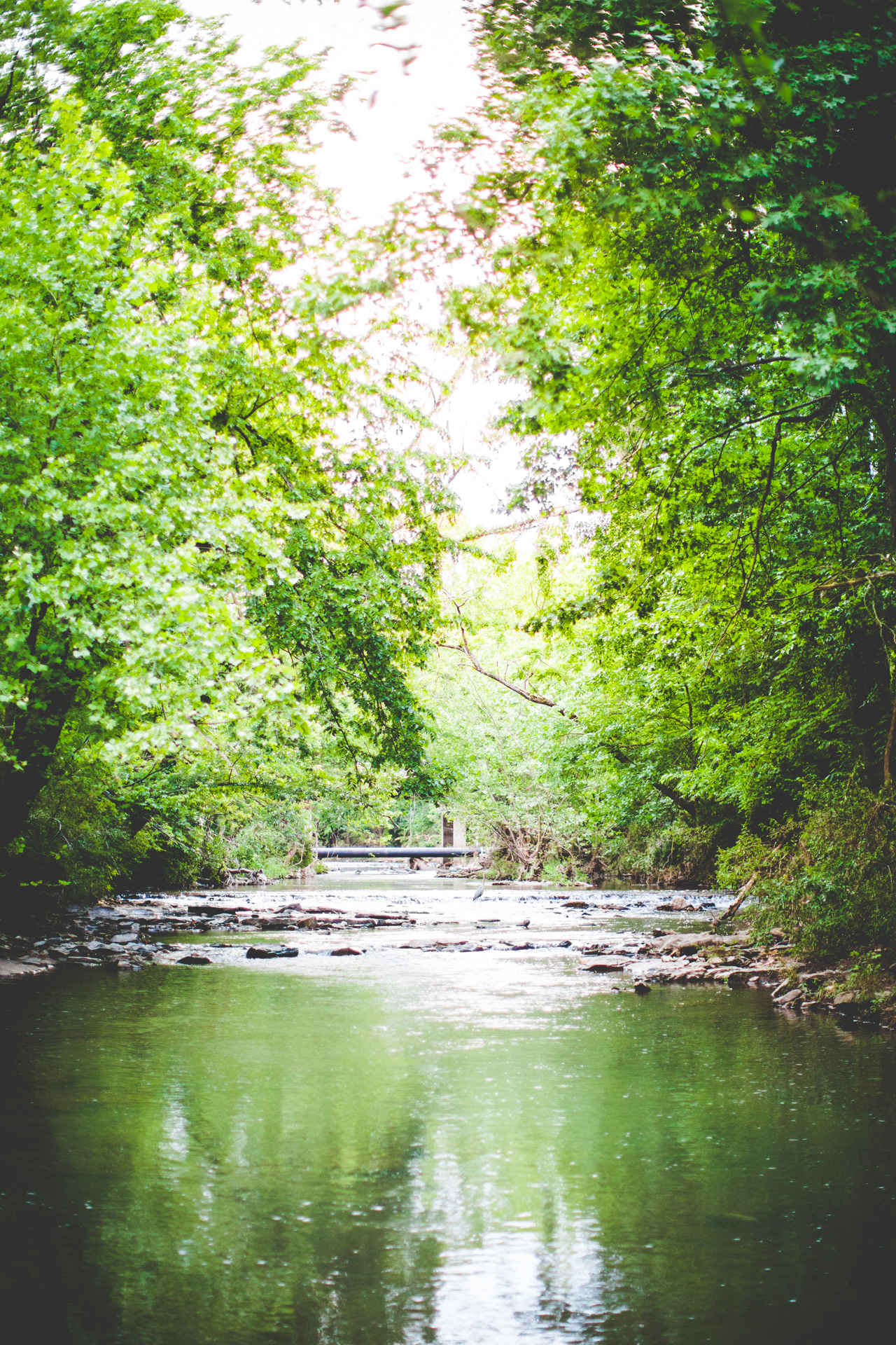 Alexandra - Senior Portrait Photographer in Faytteville Arkansas-17