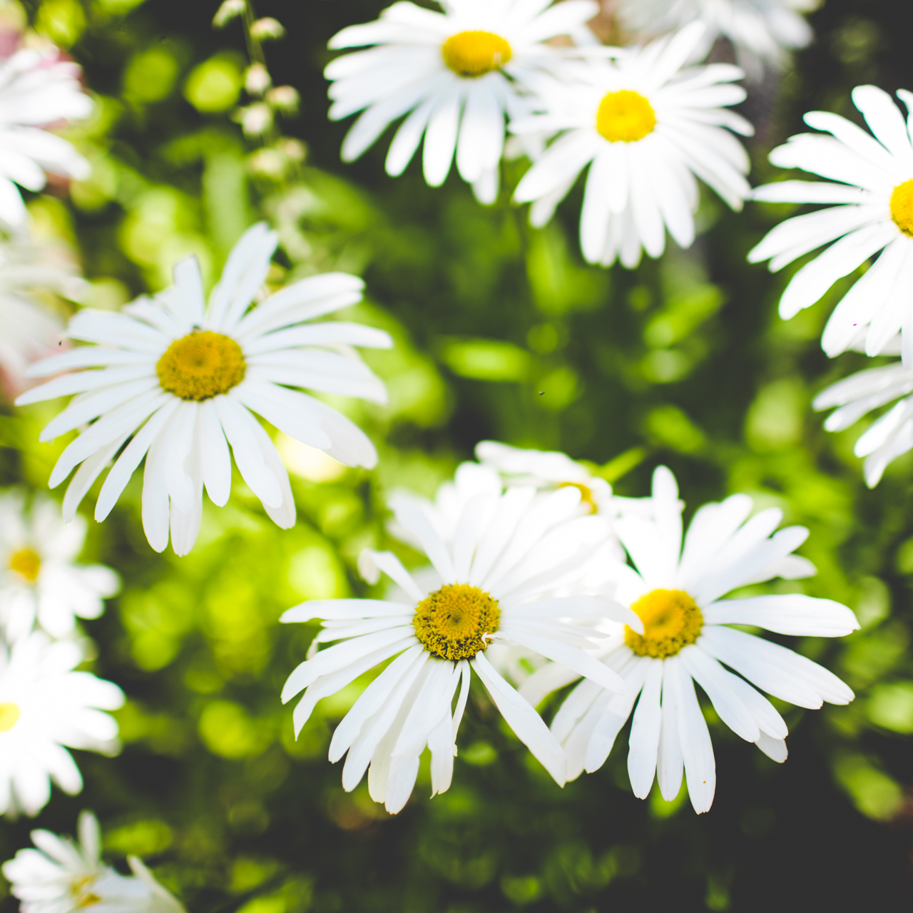 A Quick Stop in Vail! - lissachandler.com-4