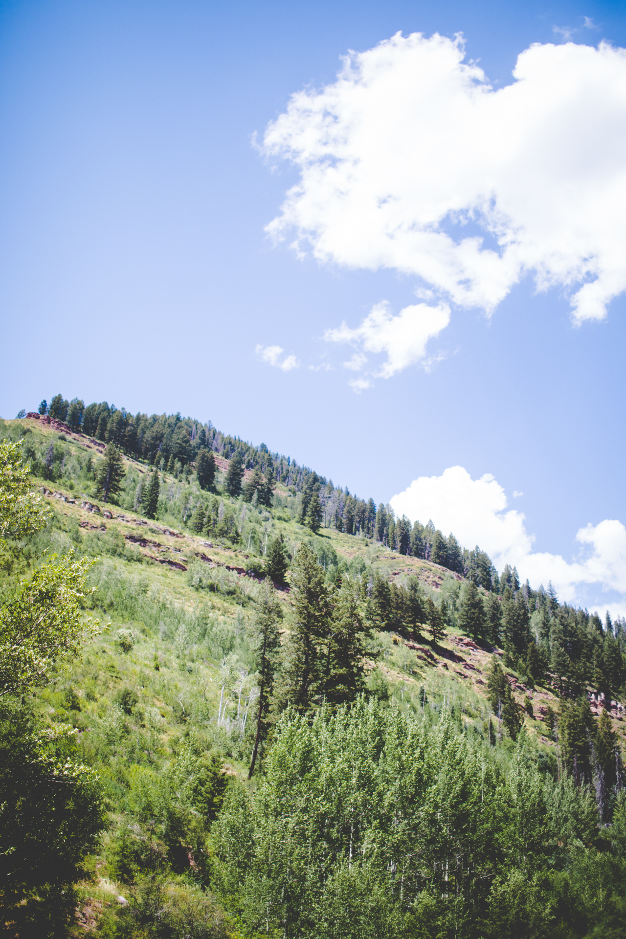 A Quick Stop in Vail! - lissachandler.com-8