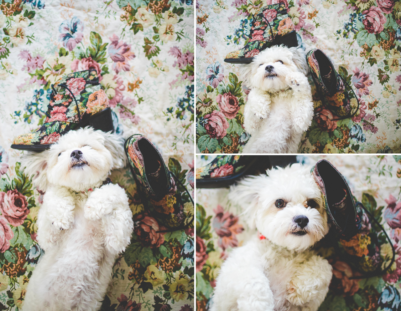 Fall Floral Boots - lissachandler.com-11