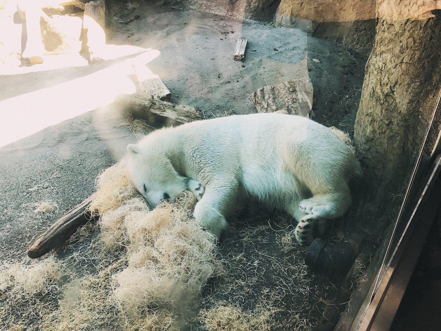 oregon zoo