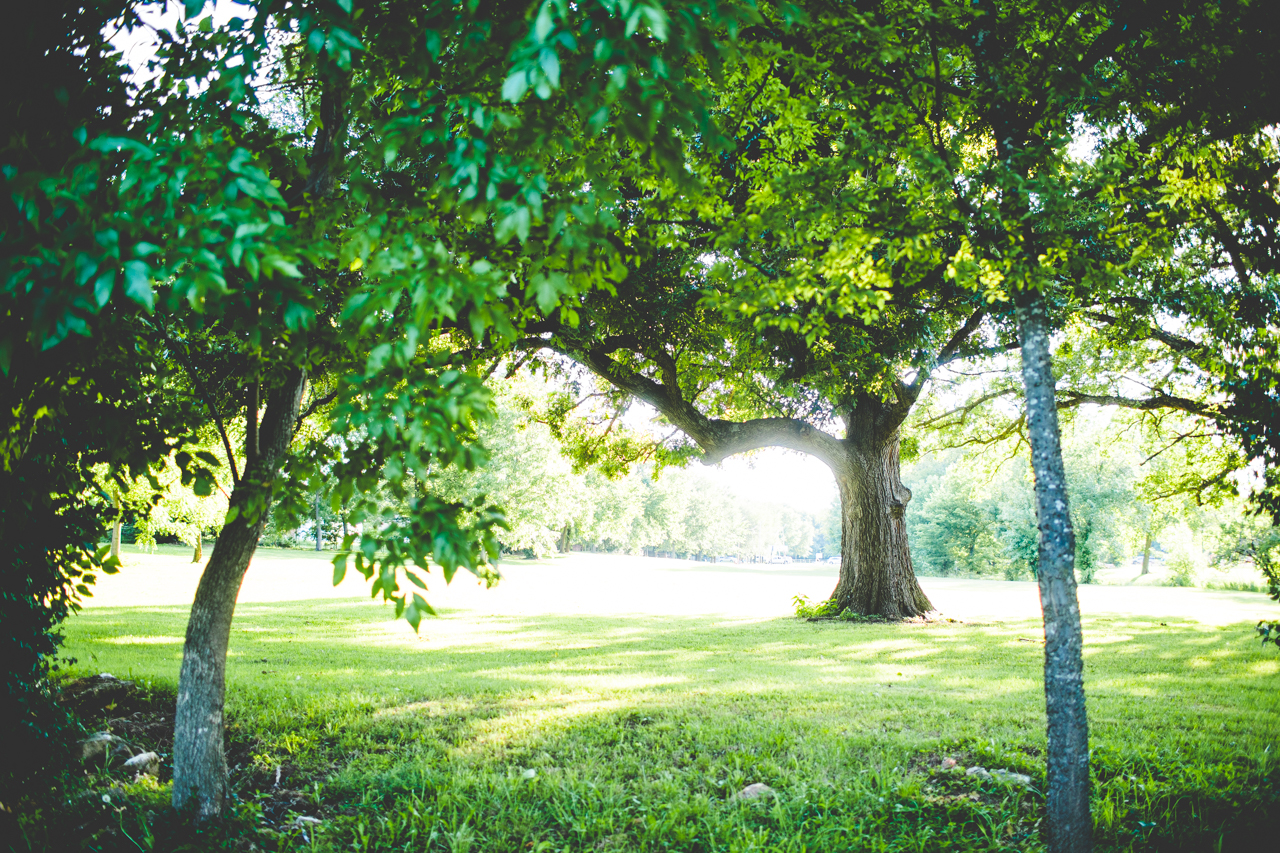 Family Photographer in Northwest Arkansas, Ally and Brett, lissachandler.com -4