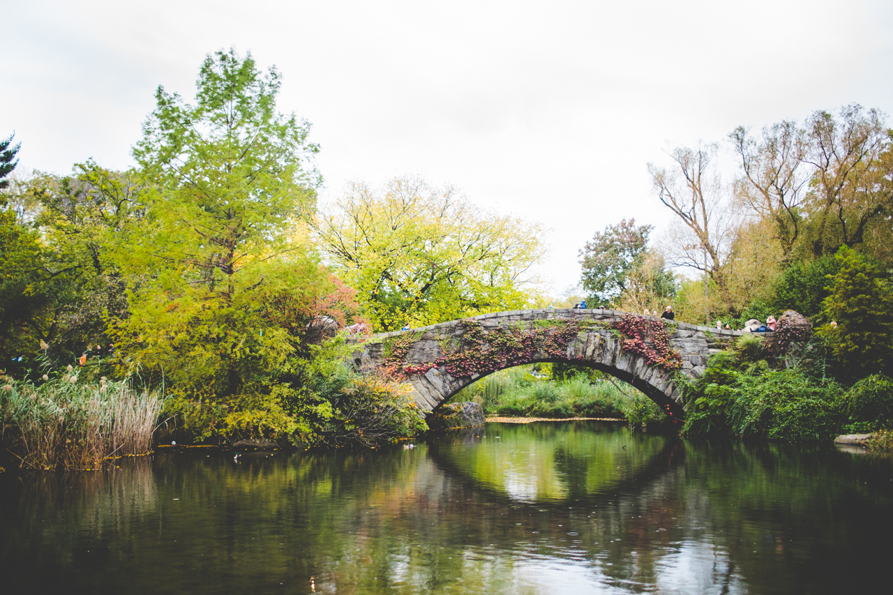 New York City Engagement Photos, Heather and Trevor, AR Wedding Photographer-12