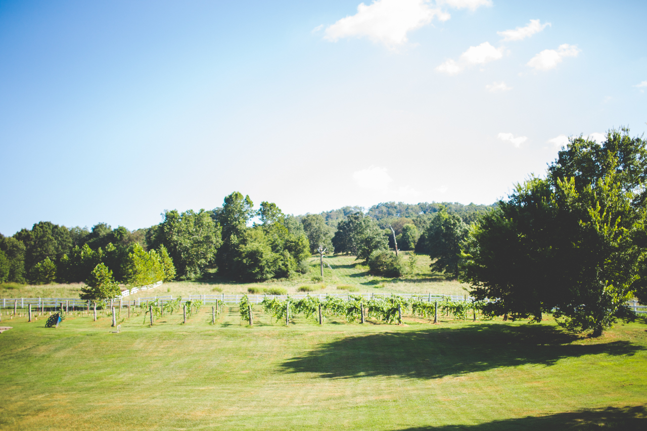 sassafras springs winery in springdale arkansas, best northwest arkansas wedding venues