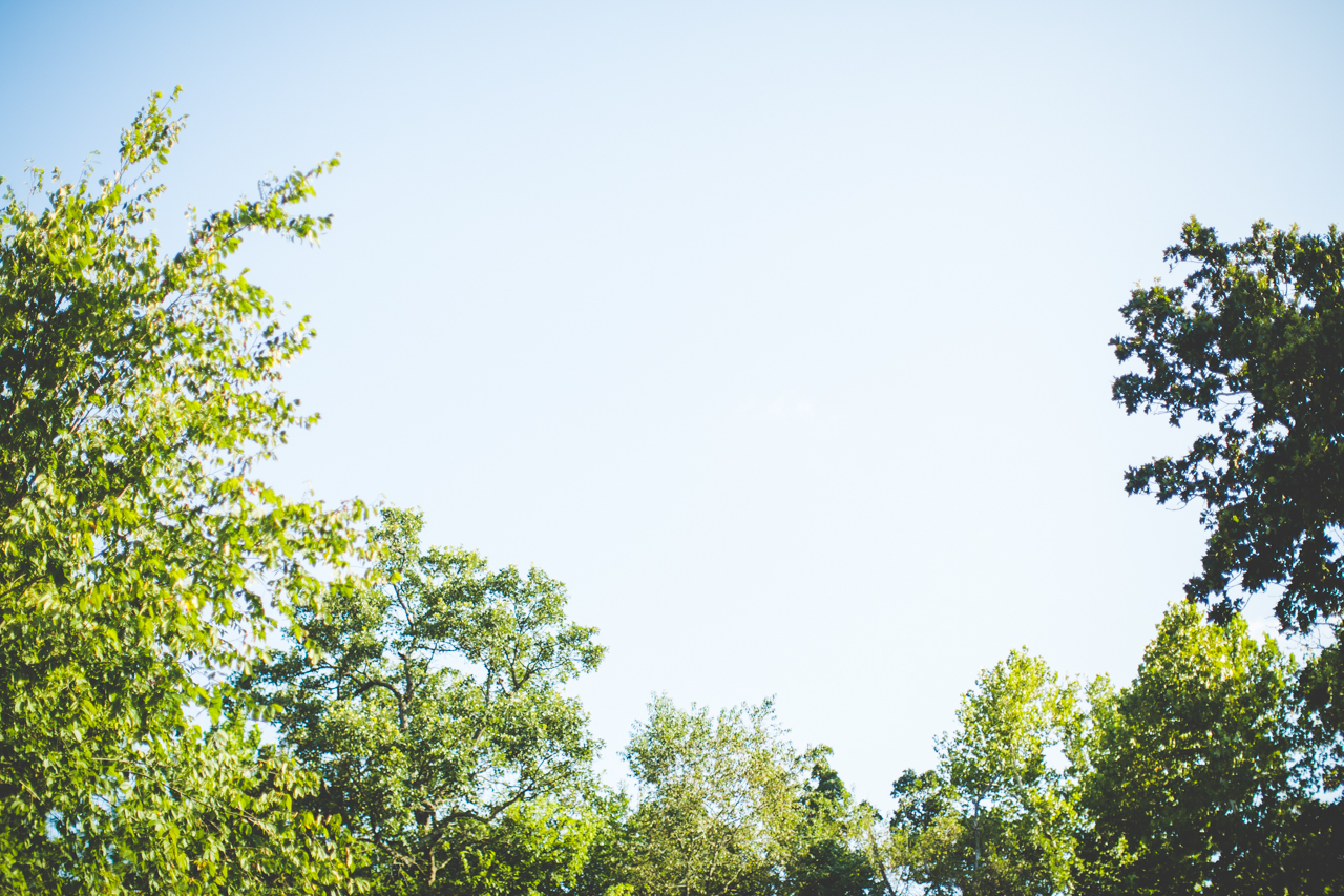 Blue Sky at Arkansas Wedding | Lissa Chandler Photography 