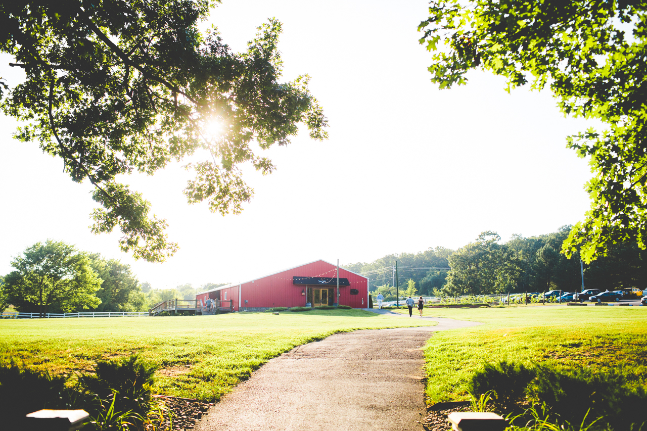 sunset at sassafras springs | Lissa Chandler Photography 