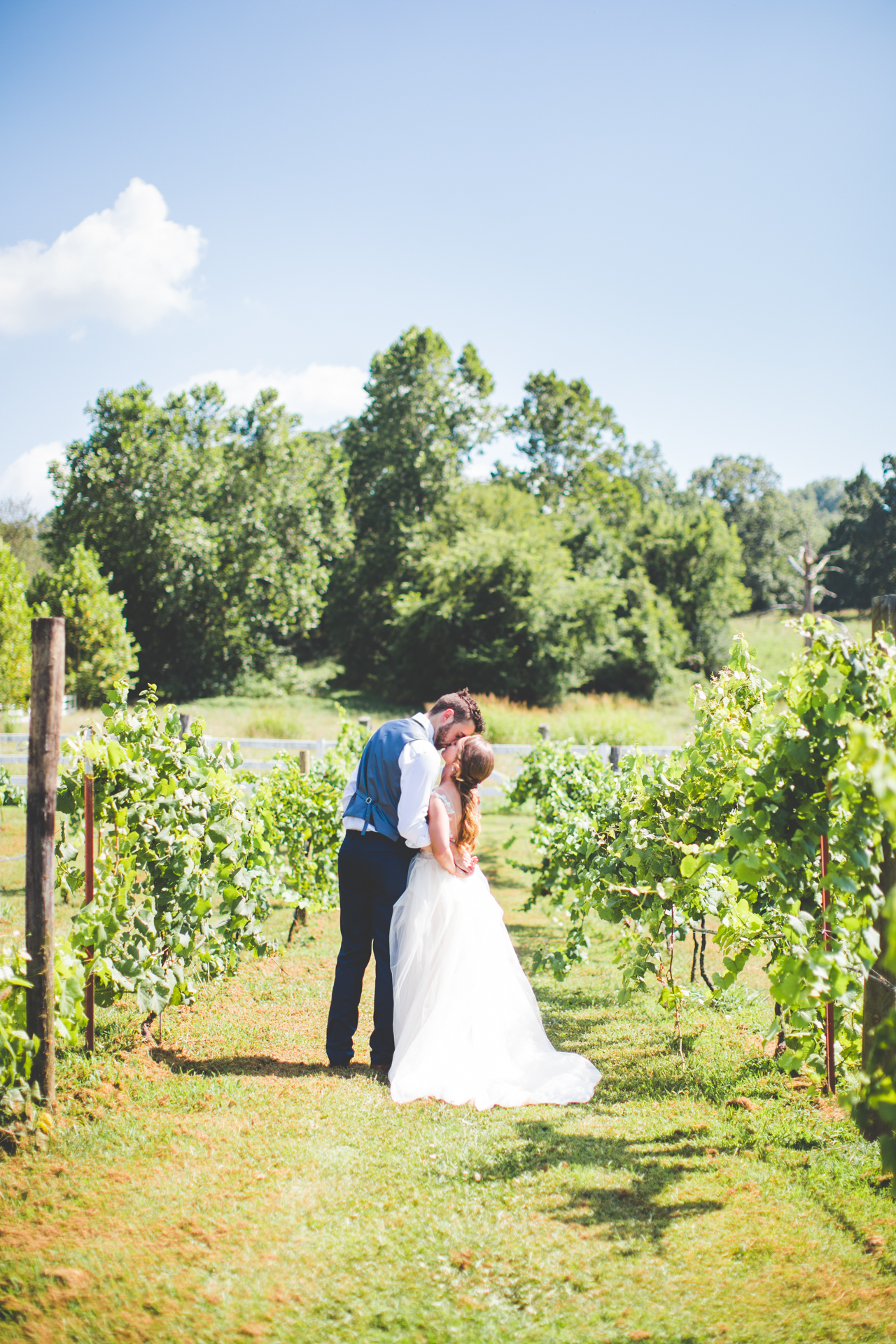 bride and groom kiss in vineyard at summer wedding 
