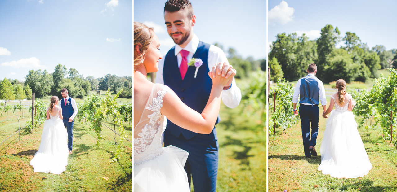 bride and groom wedding photographs in a vineyard