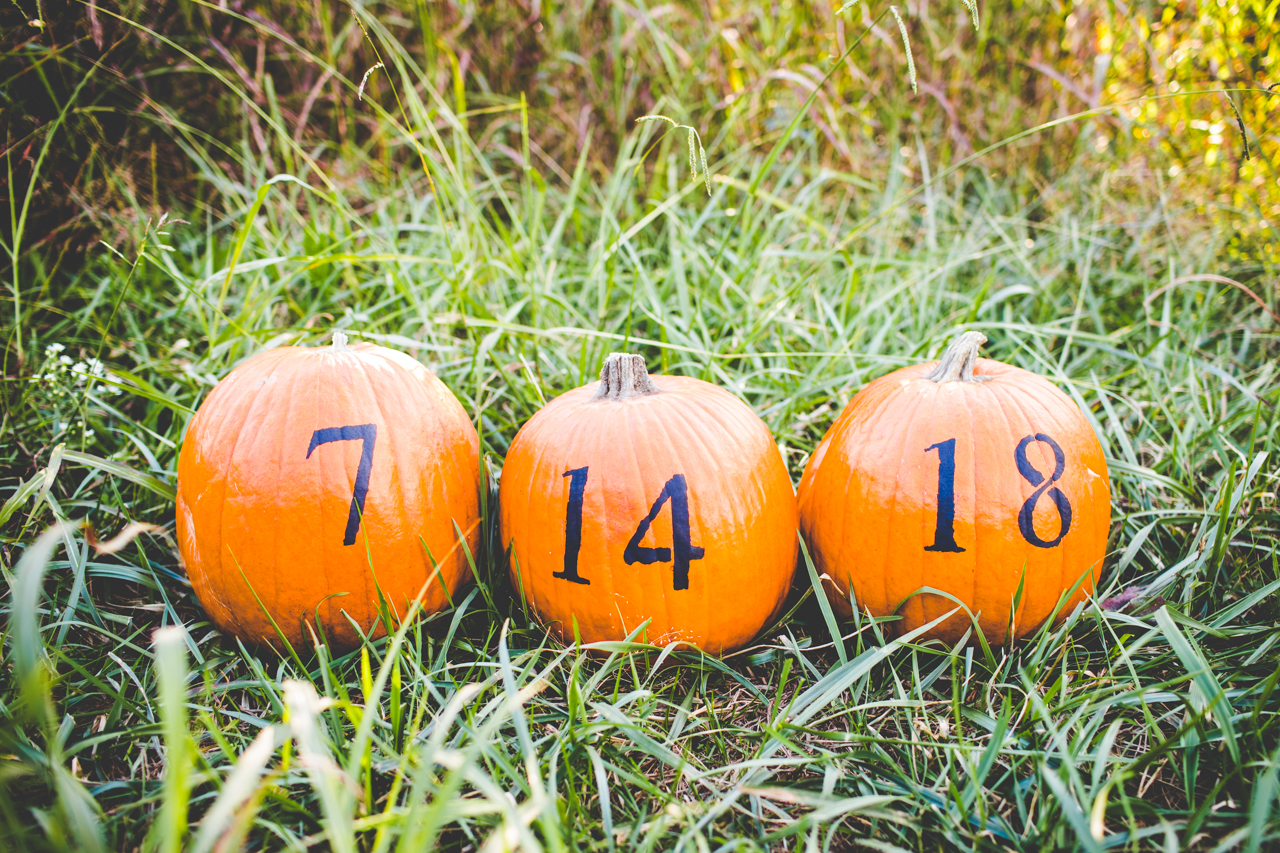 Fall Engagement Session in Fayetteville, Sarah and Levi, lissachandler.com -12