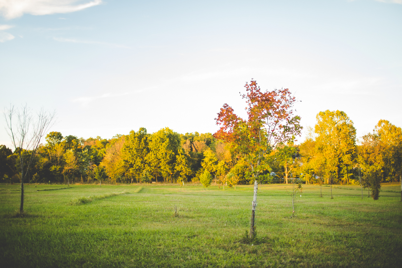 Fall Engagement Session in Fayetteville, Sarah and Levi, lissachandler.com -14