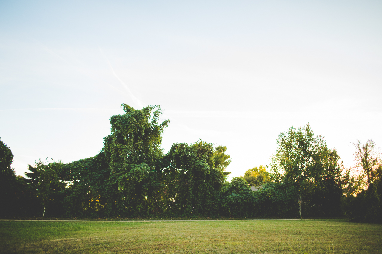 Fall Engagement Session in Fayetteville, Sarah and Levi, lissachandler.com -18